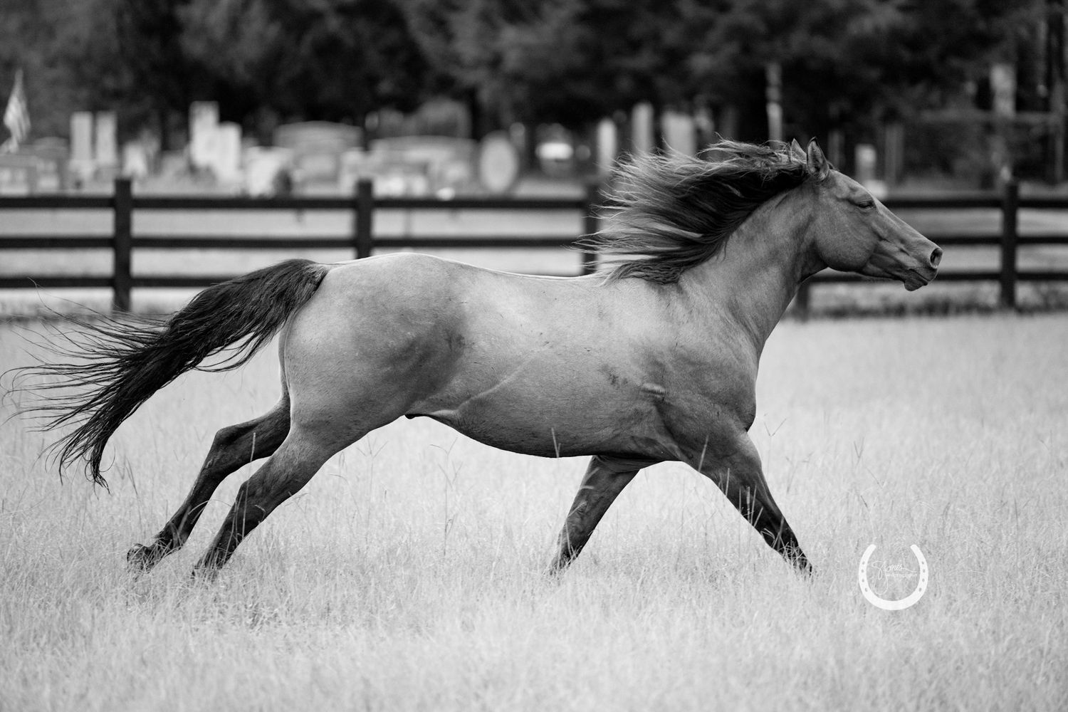 what-to-expect-s-jones-photography