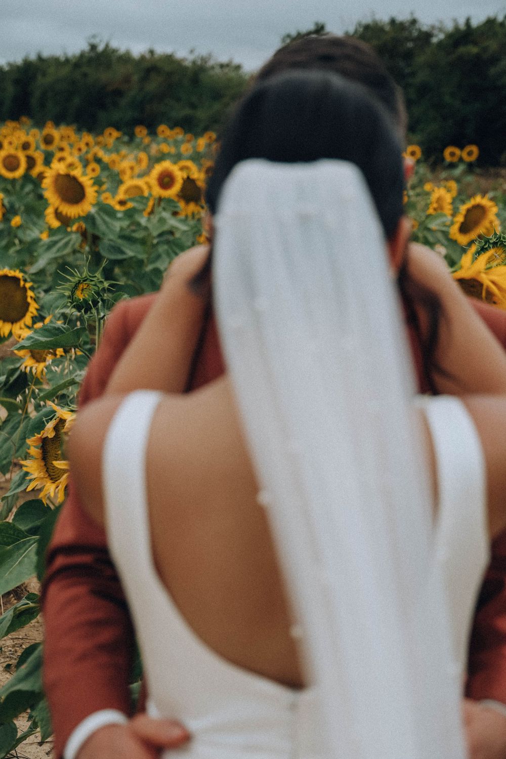 photo de mariage champs de tournesol