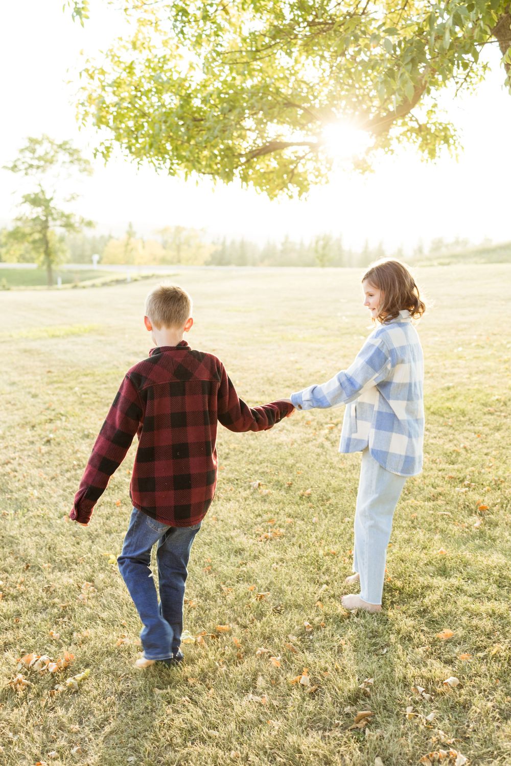 Two people hold hands while walking through a sunlit field at sunset.