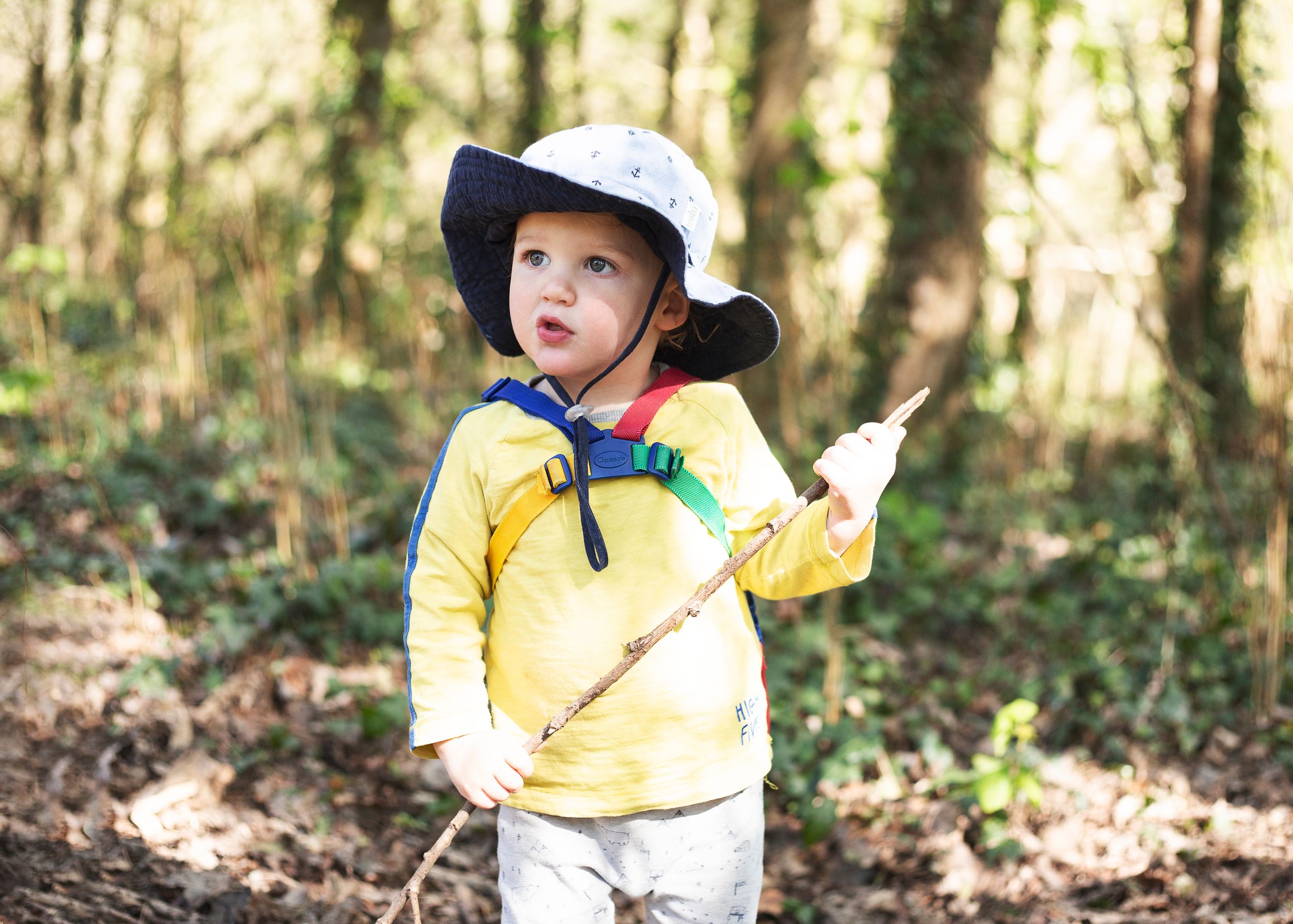 Cute baby portraits of little boy in the woods playing with a stick