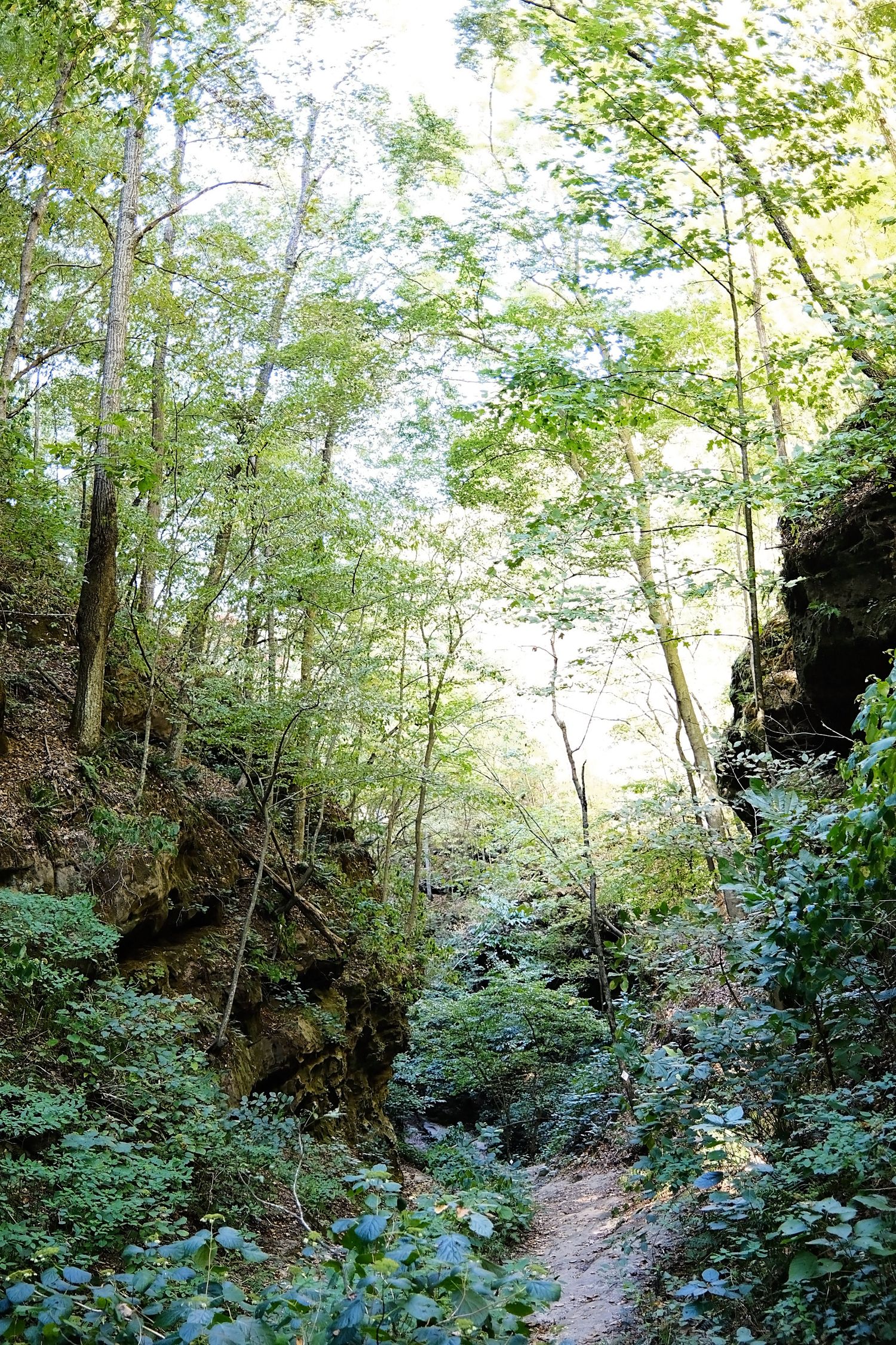 A winding path