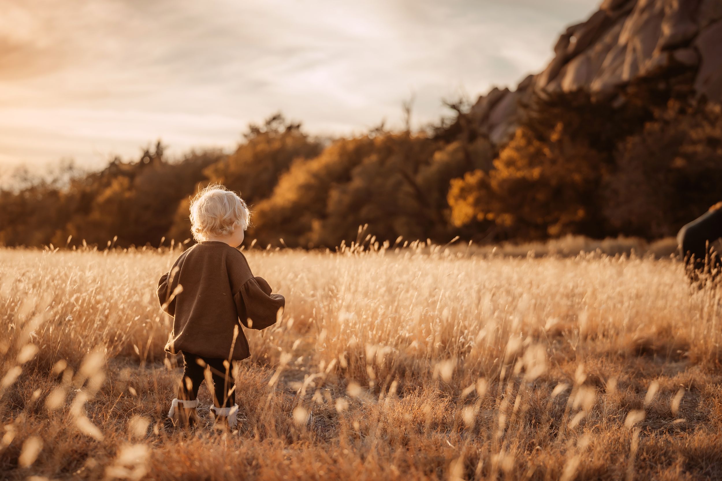Altus Lawton Medicine Park Quartz Mountain State Park, Family Photoshoot Session, siblings, mother father, fields, Oklahoma sunset