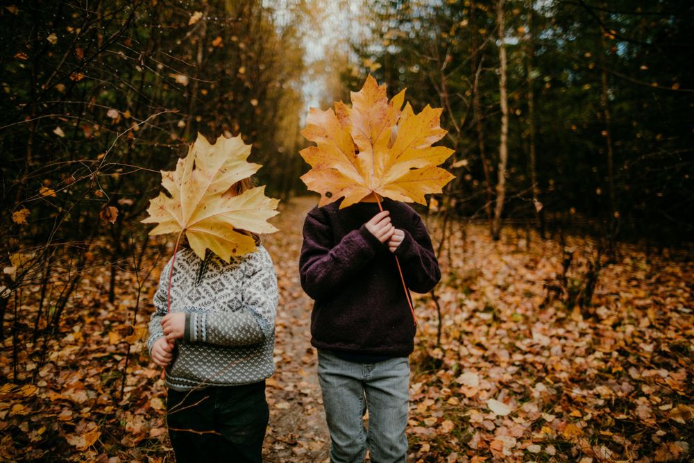 two children hold large leaves in front of faces family photographer portland oregon kimberly marie kimble
