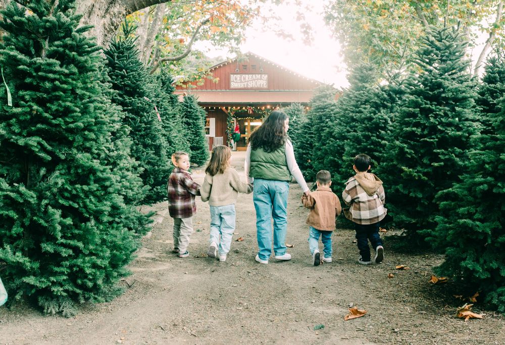 Five siblings walking hand in hand between Christmas trees, Avila Beach, CA