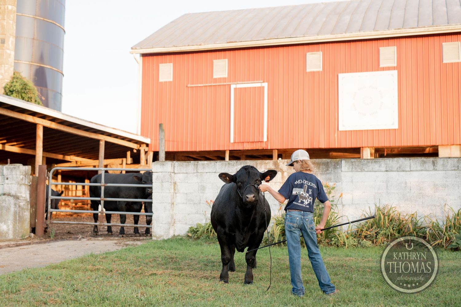A black show steer stands with its handler by an orange barn and concrete foundation.
