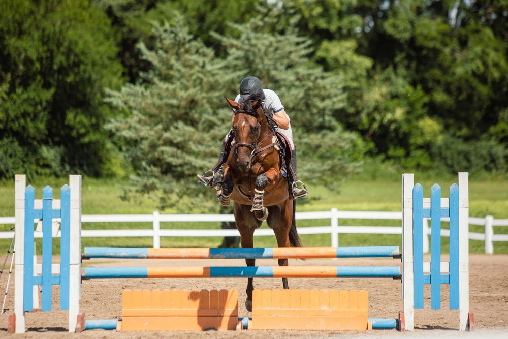 Show jumping arena with colorful blue and orange obstacles set up for competition.