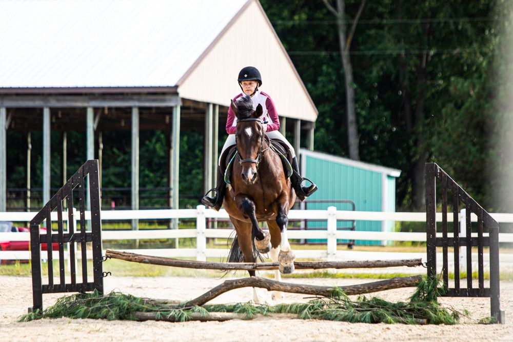 Equestrian rider navigating a brown horse through jumping poles at an outdoor arena with white fencing.