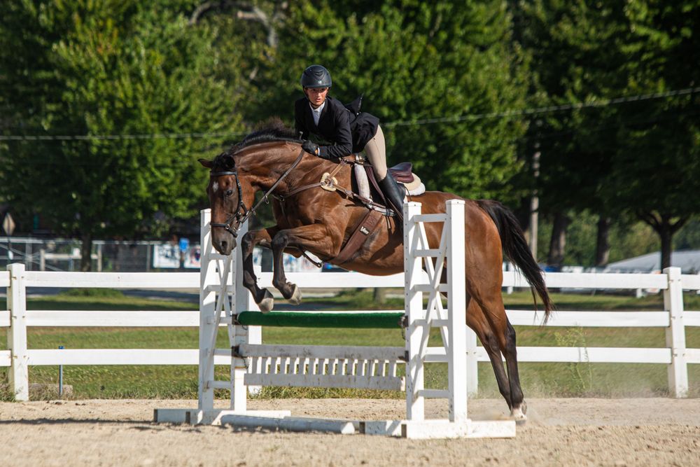 Brown horse and rider clearing a jump obstacle at an outdoor equestrian arena.
