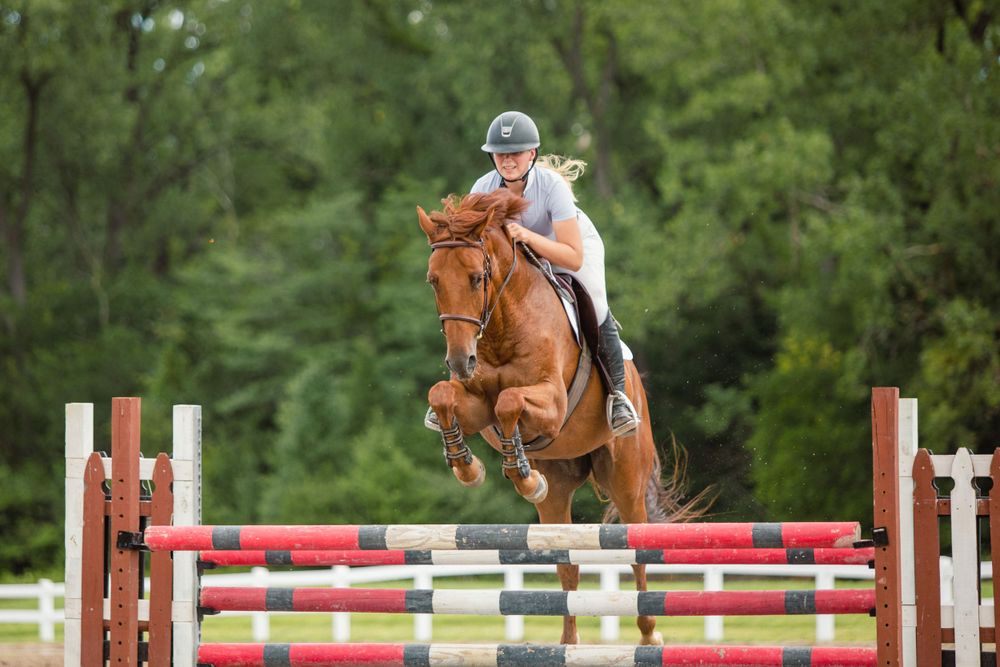 Equestrian athlete guiding horse over red and white poles in competition.
