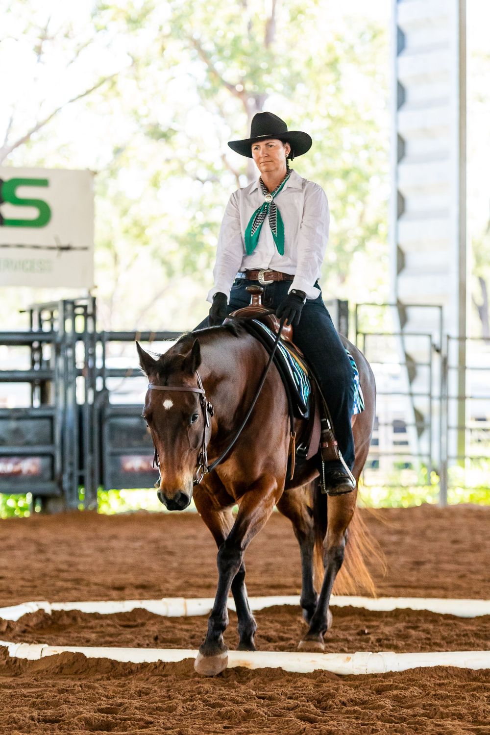 Dark bay horse and western rider performing in sandy indoor arena.