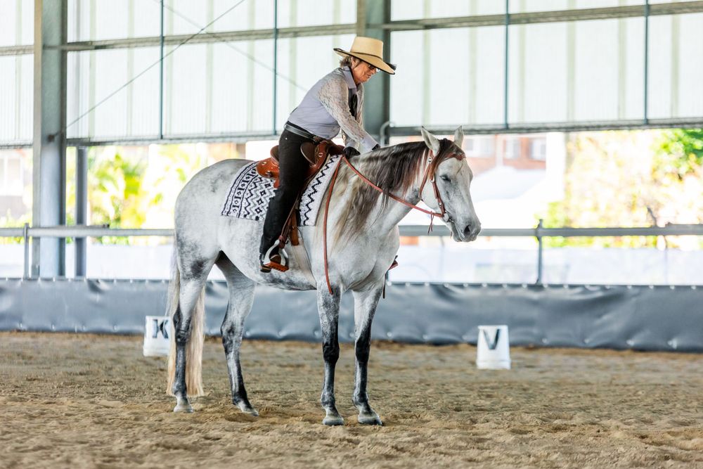 A dapple gray horse and rider perform in an indoor arena with western tack and equipment.