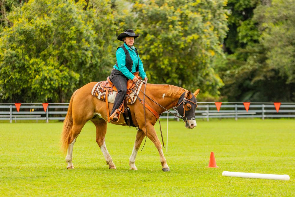 Horse and rider navigate around orange cone during western riding competition.