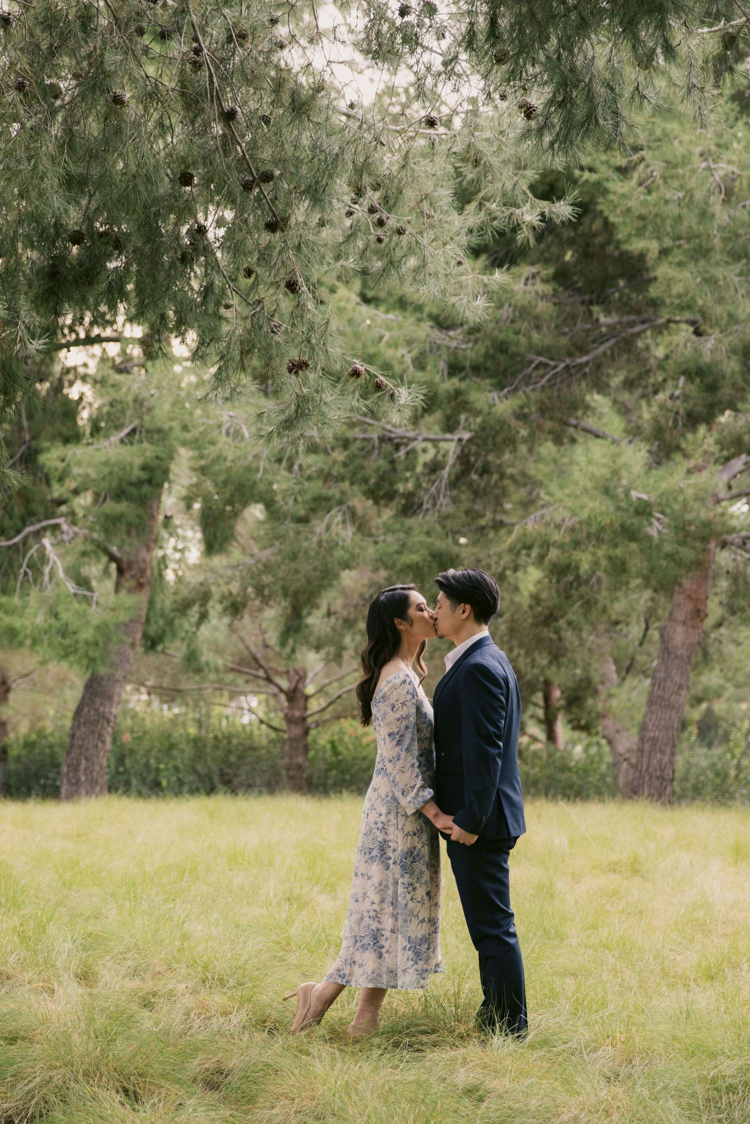 Couple shares tender moment in a sunlit meadow surrounded by tall pine trees.