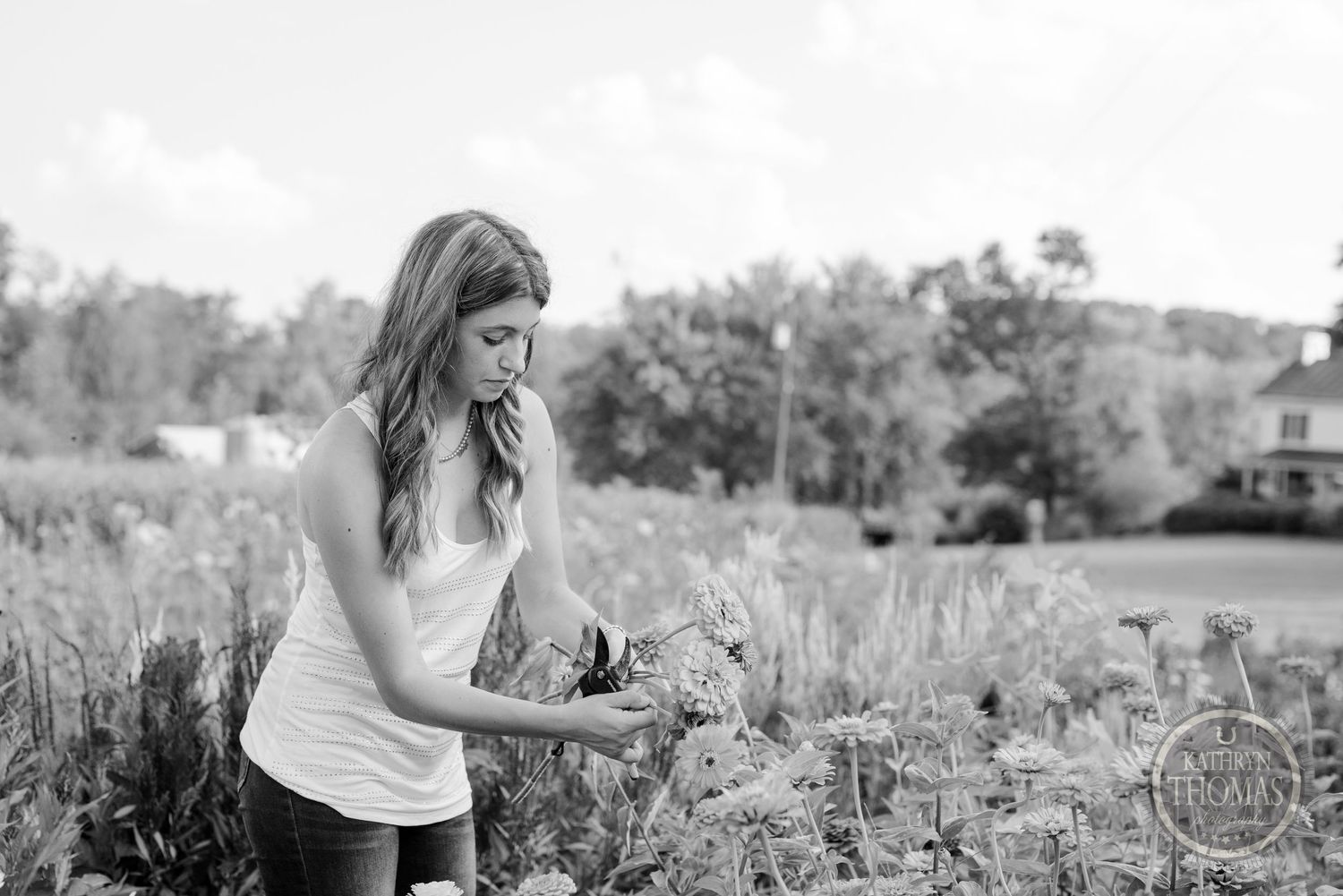 A person in casual attire tends to flowers in a monochrome garden scene.