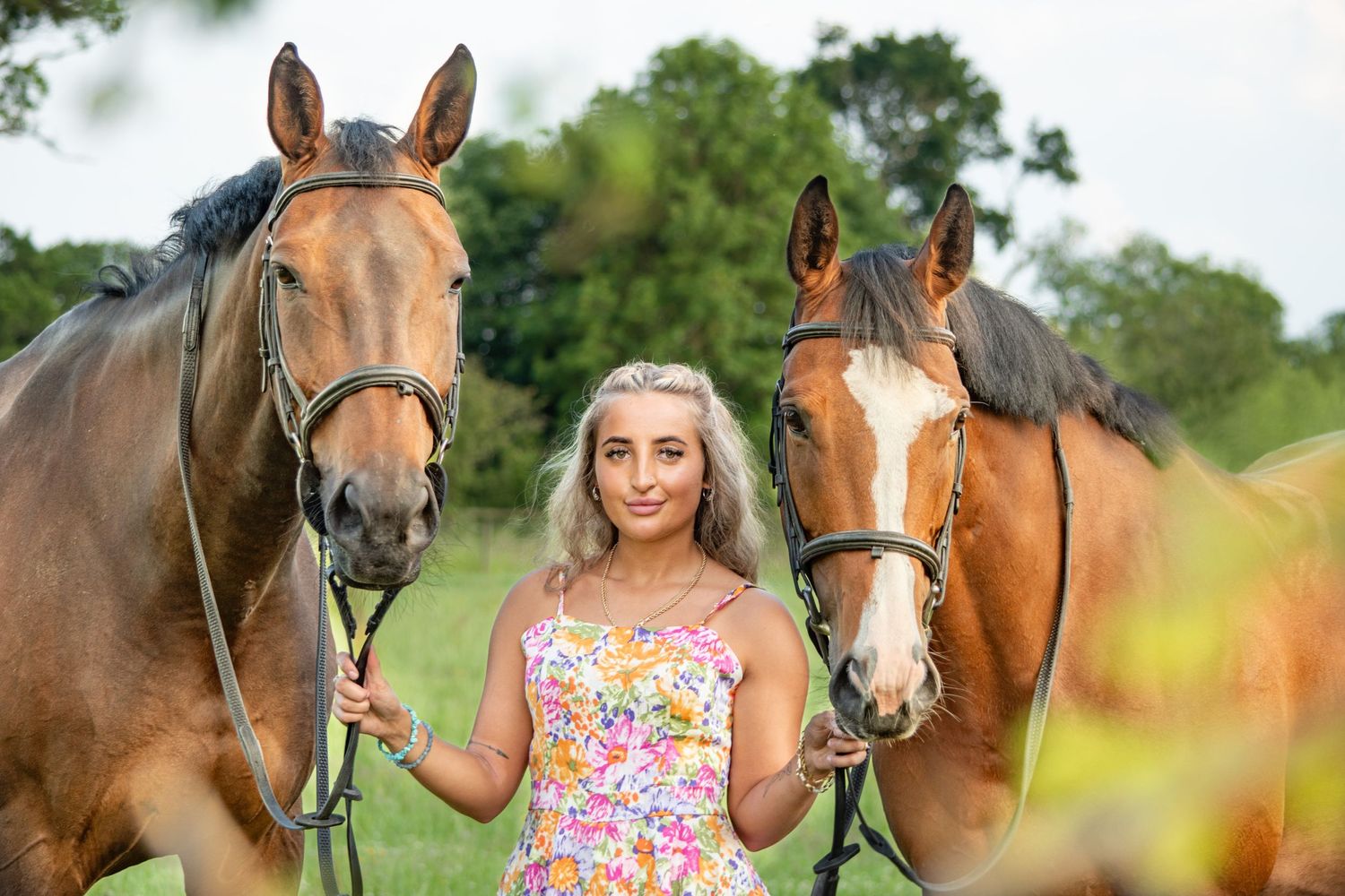 Redditch Horse Photographer