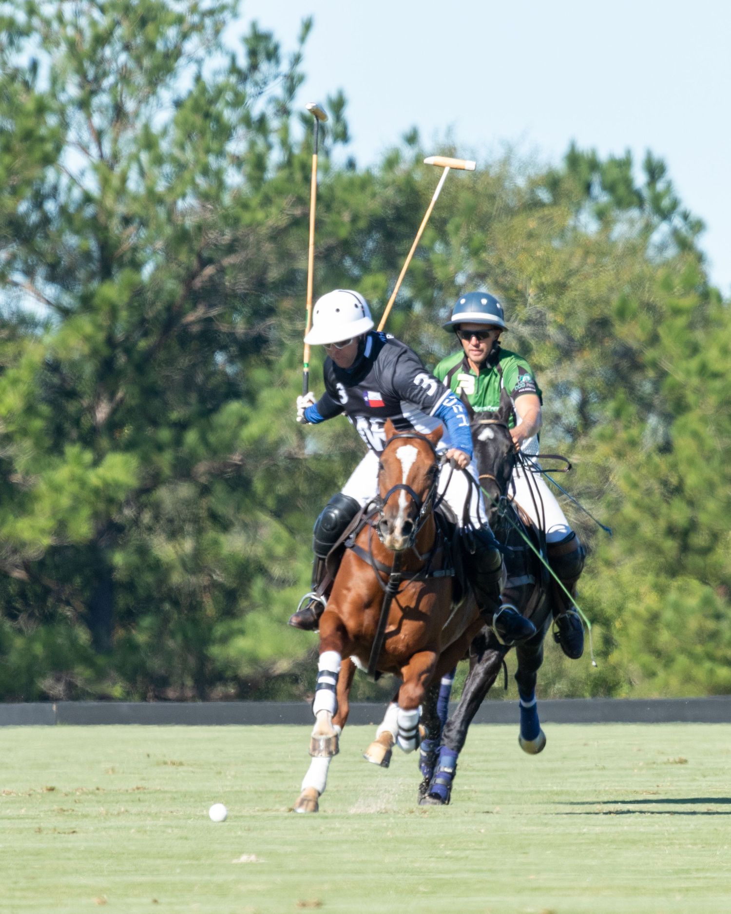 Polo