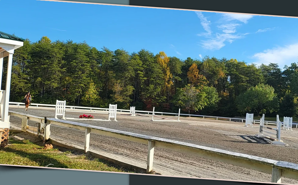 greenville south carolina horse boarding and riding lessons