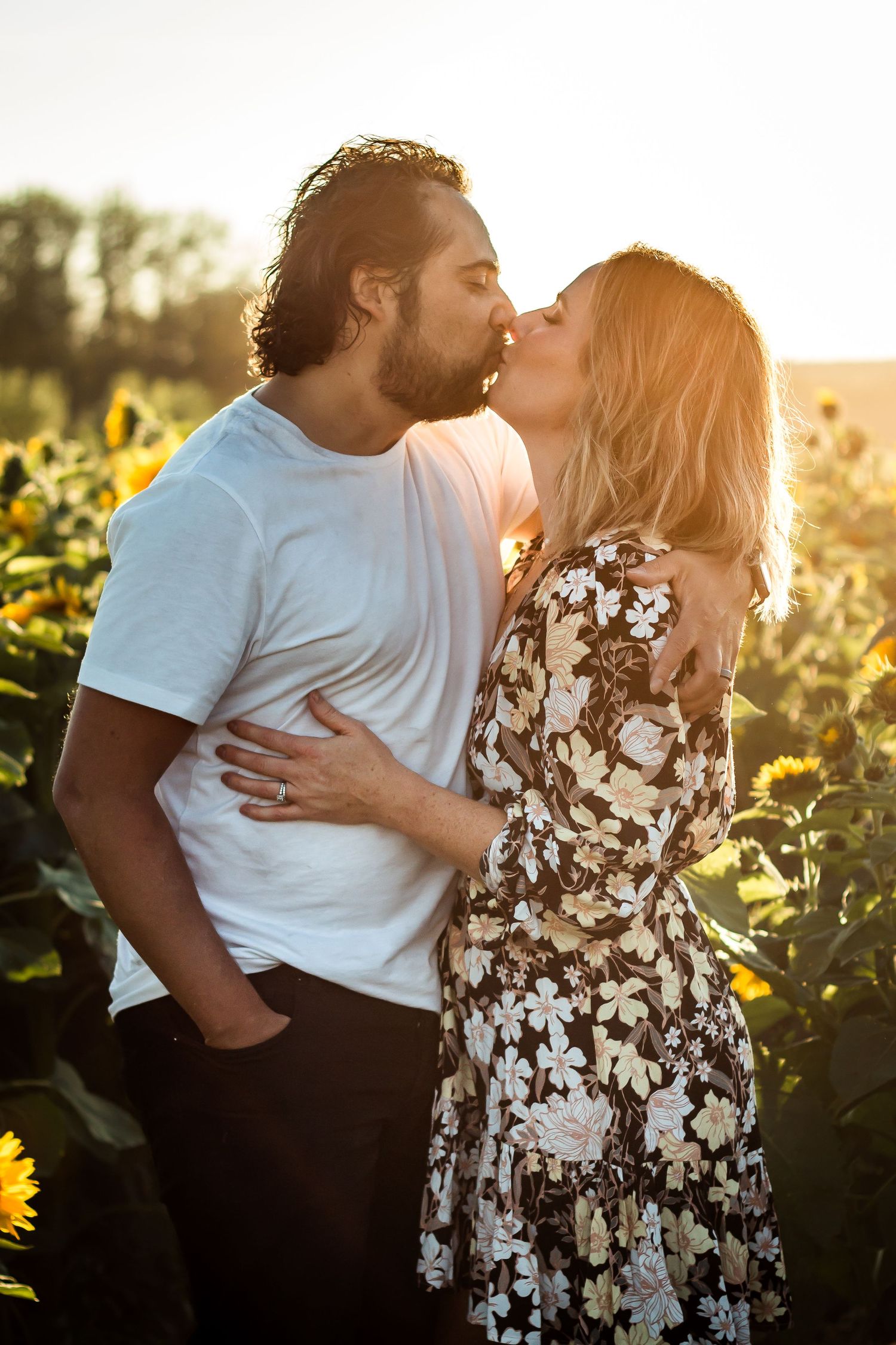 Romantic golden hour couples photos in sunflower fields at Bowden Alberta by Calgary's Love & Sunshine Photography.