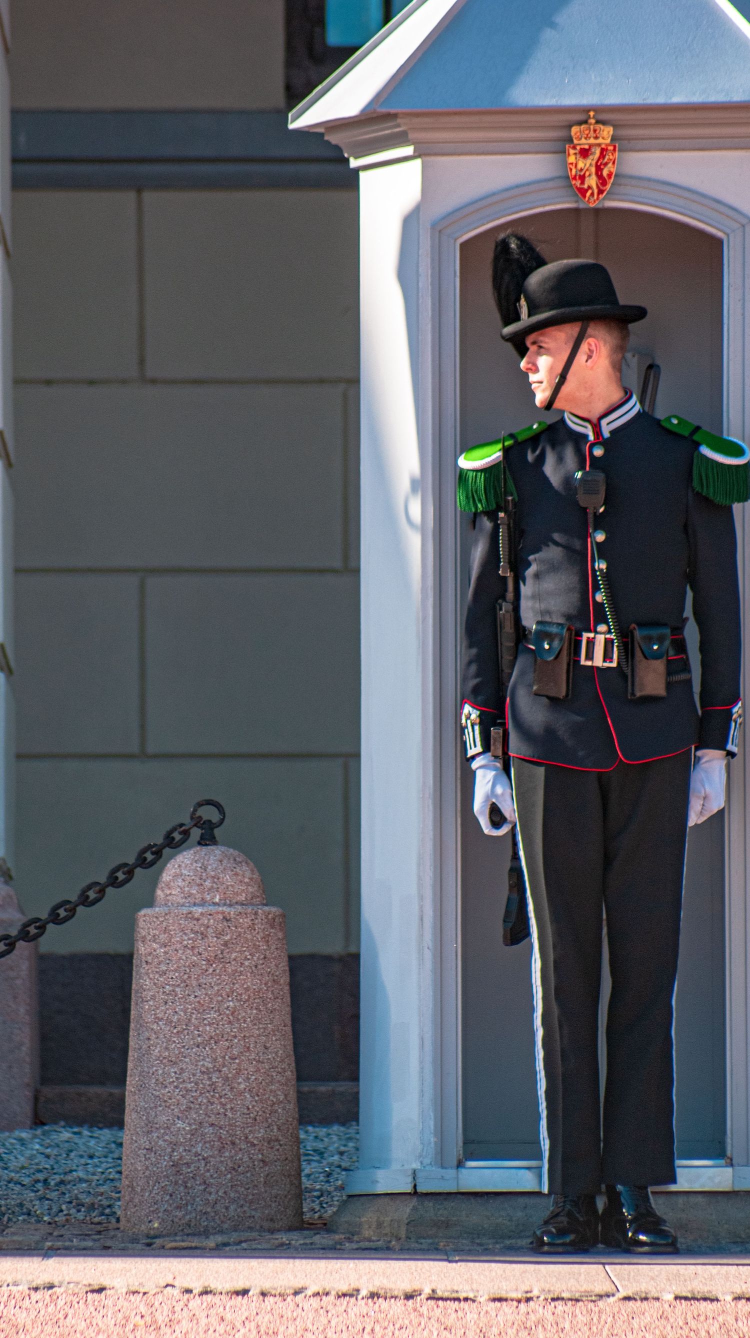 Royal guards in formal black uniforms standing at attention by white pillars.