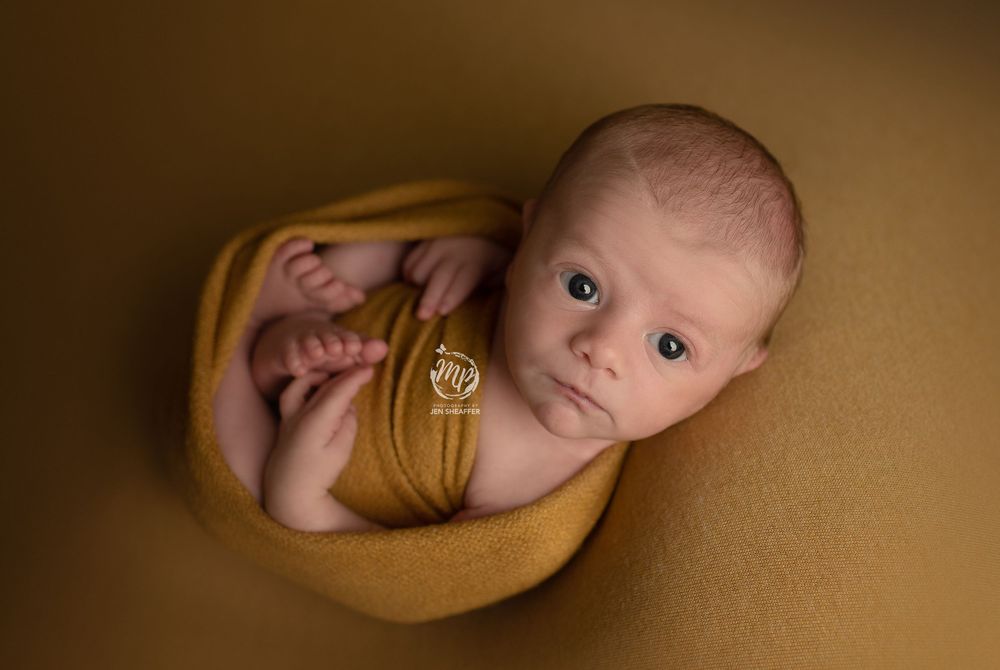 eyes open newborn mustard wrap with toes and hands peeking out