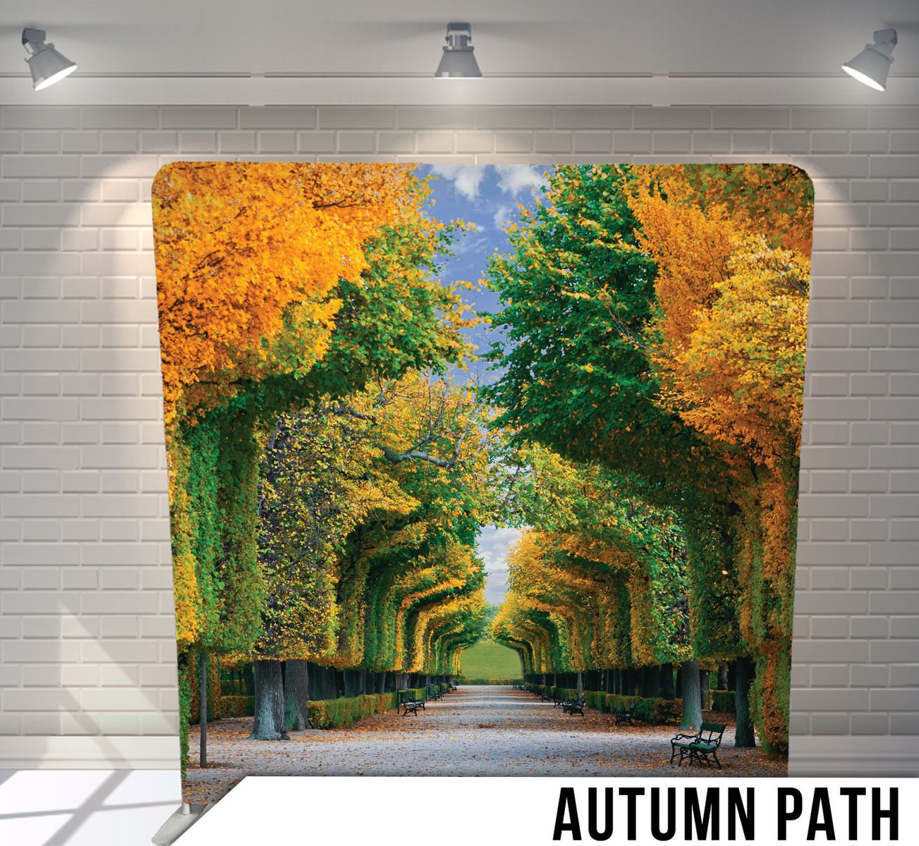 Tree-lined autumn path with golden foliage creating a natural archway in a park setting.