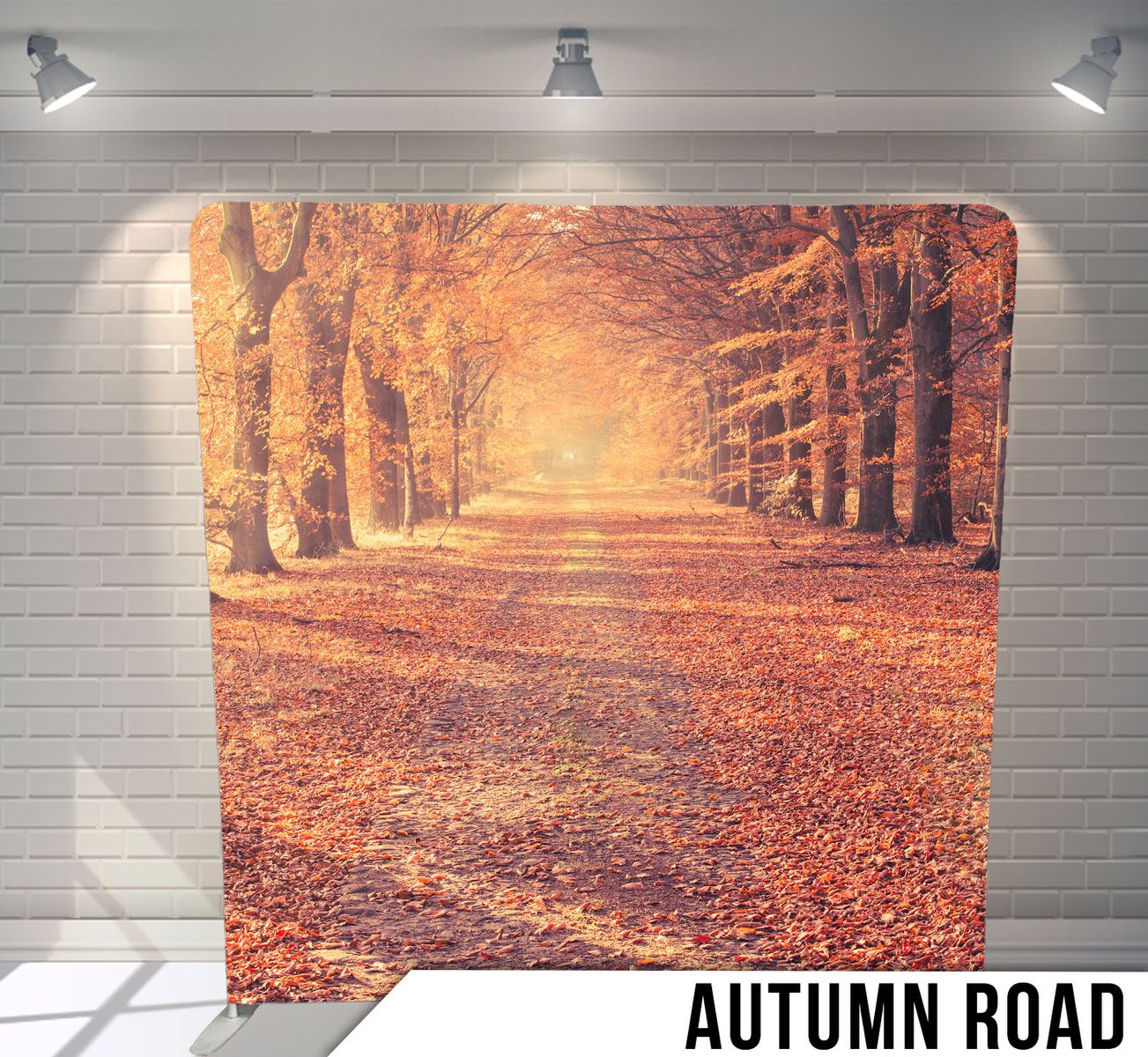 Sunlit autumn forest path covered in fallen orange leaves between rows of tall trees.
