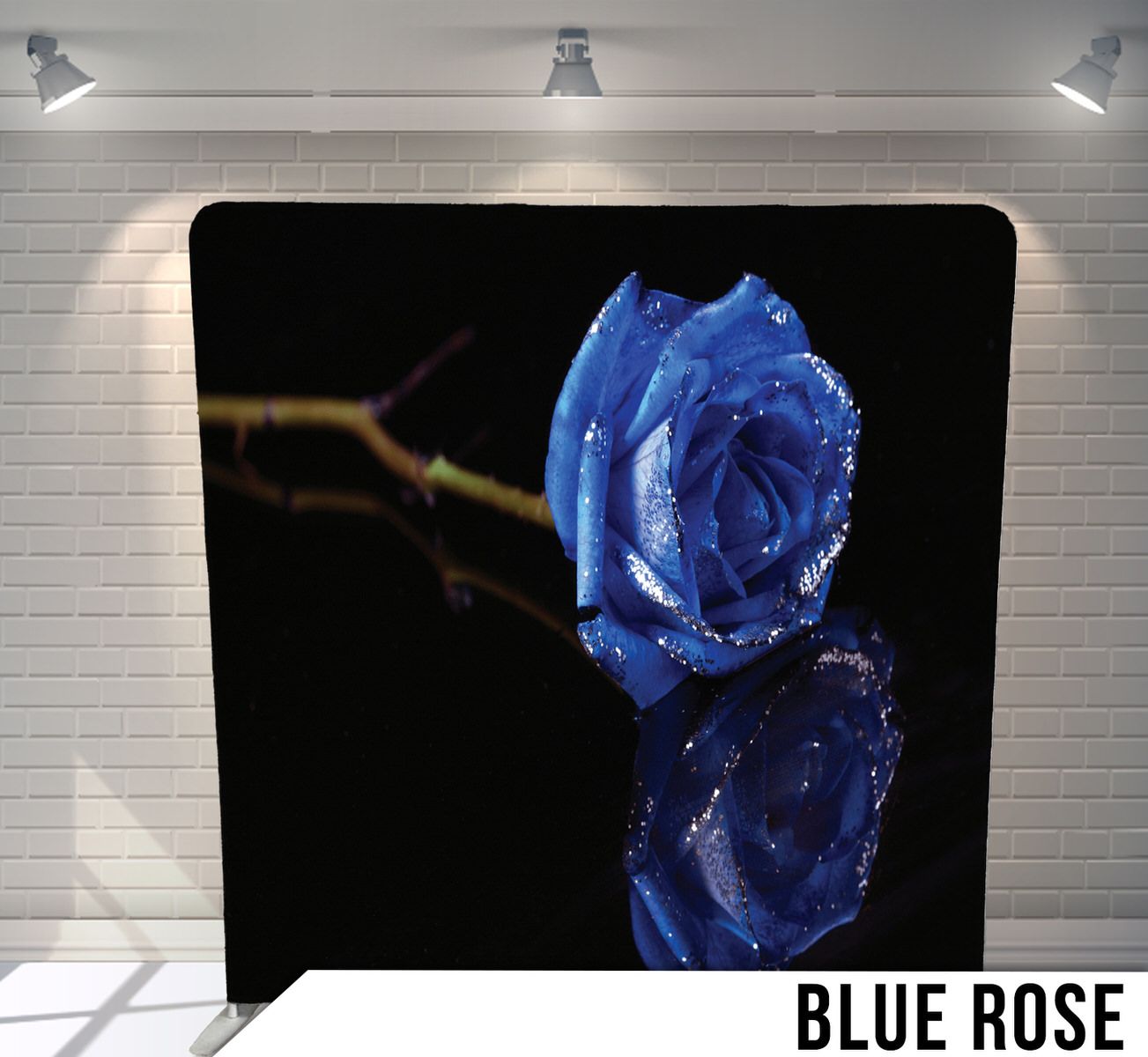 Single blue rose with water droplets reflecting against black background.