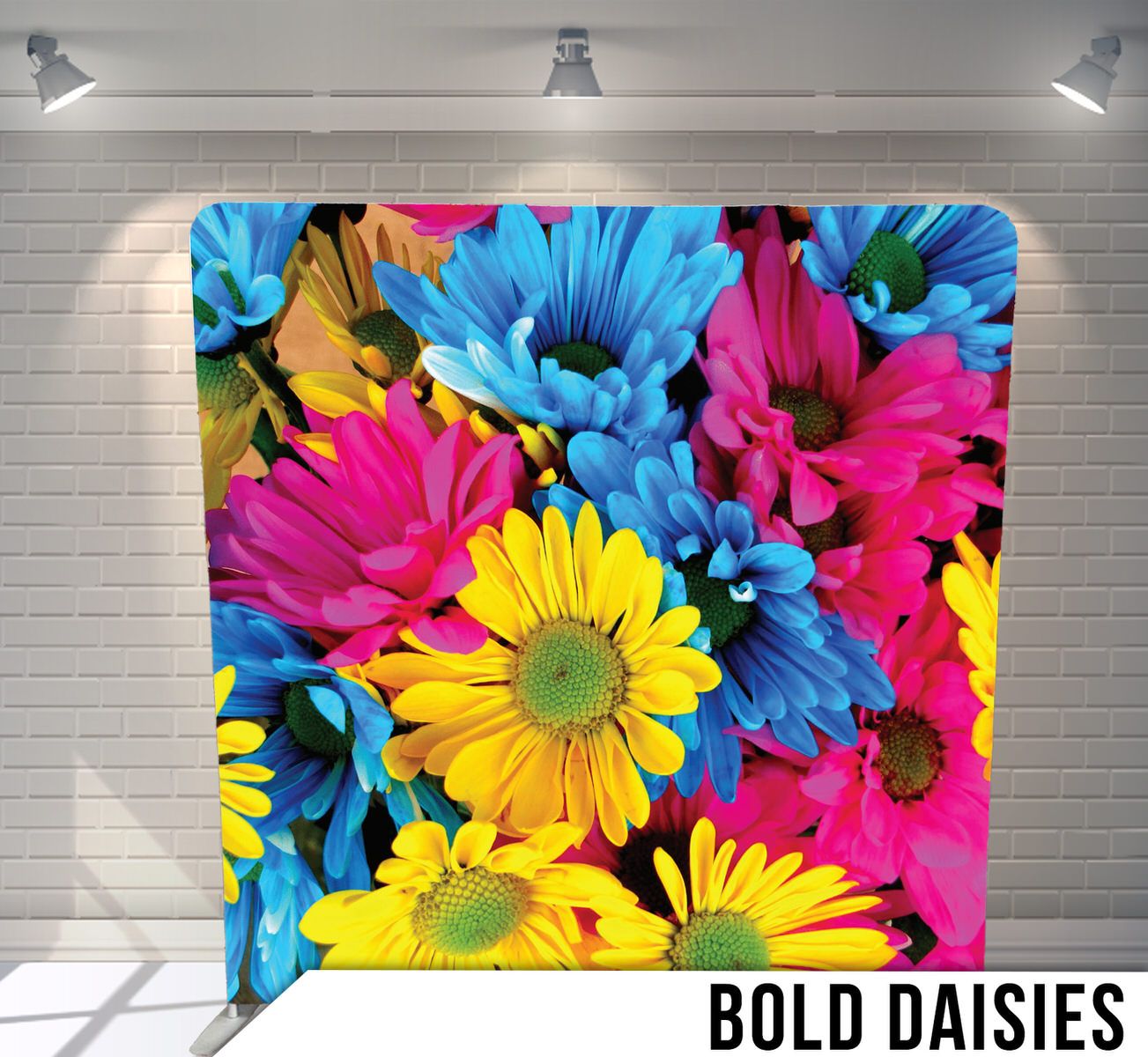 Vibrant multicolored daisies featuring bright blue, pink, and yellow blooms in close-up photography.