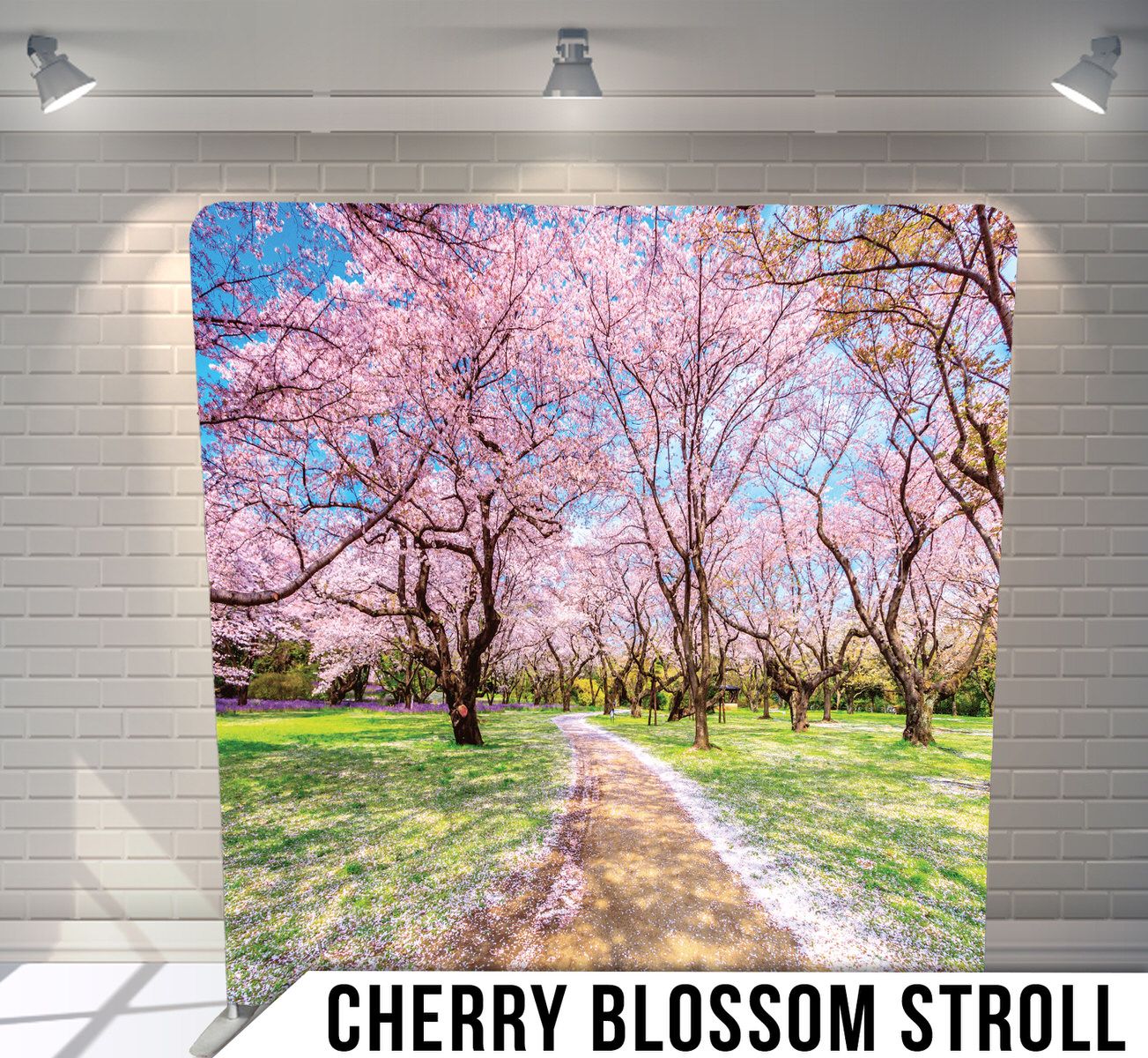 Path through blooming pink cherry blossom trees in a spring garden with blue sky overhead.