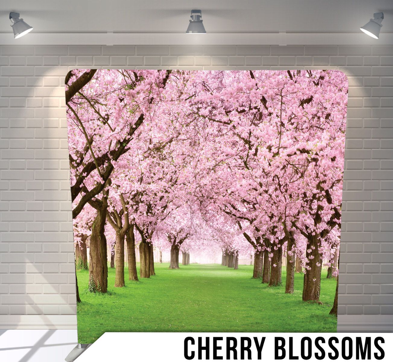 Avenue of pink cherry blossom trees in full bloom with green grass pathway.