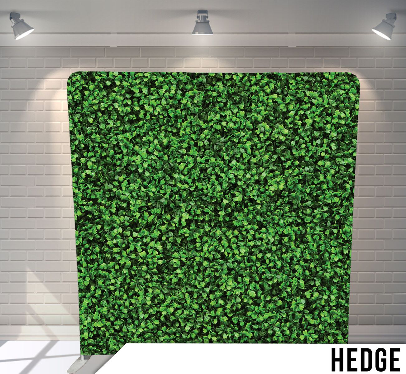 Dense green hedge wall texture made of small leaves creating a natural backdrop.