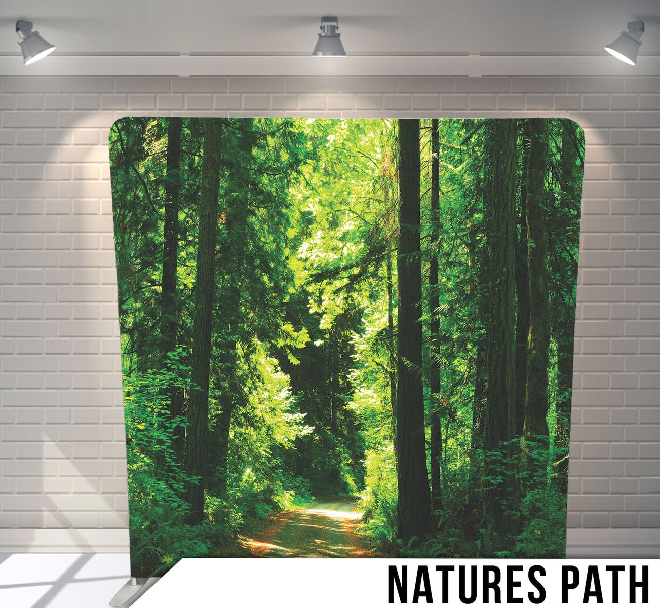 Sunlit forest path winding through tall green trees on a bright summer day.