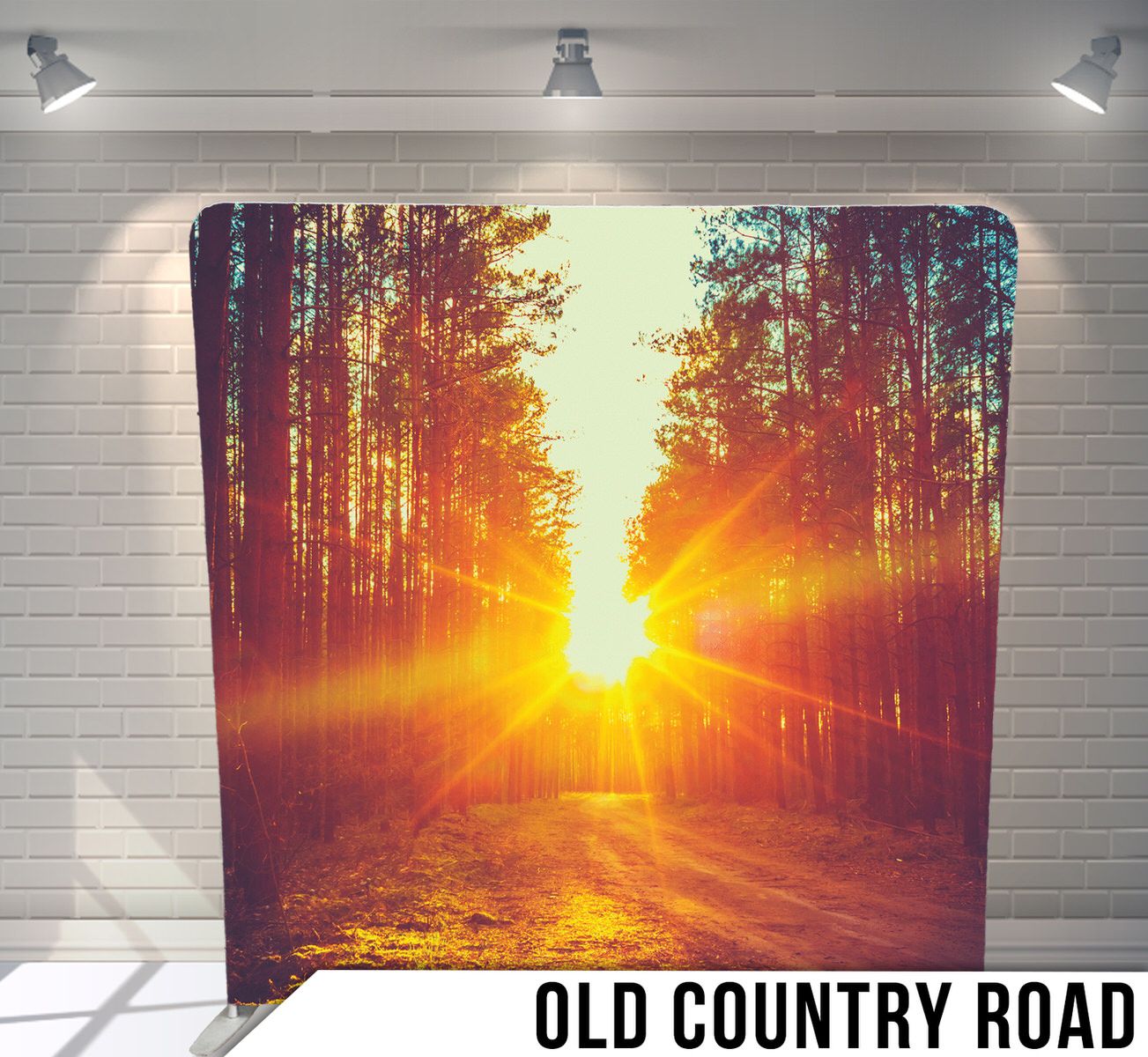Golden sunlight streaming through pine forest trees on a dirt country road at sunset.