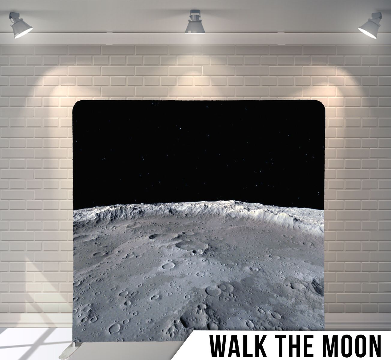 Black and white photograph of lunar surface showing moon craters and horizon.