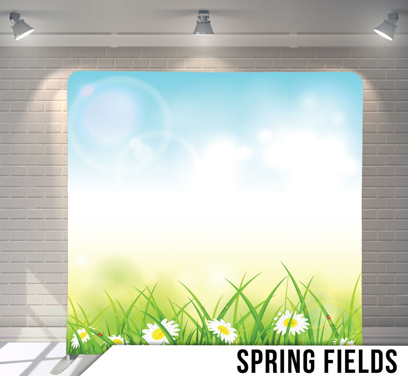 Spring meadow scene with daisies in grass against blue sky backdrop.