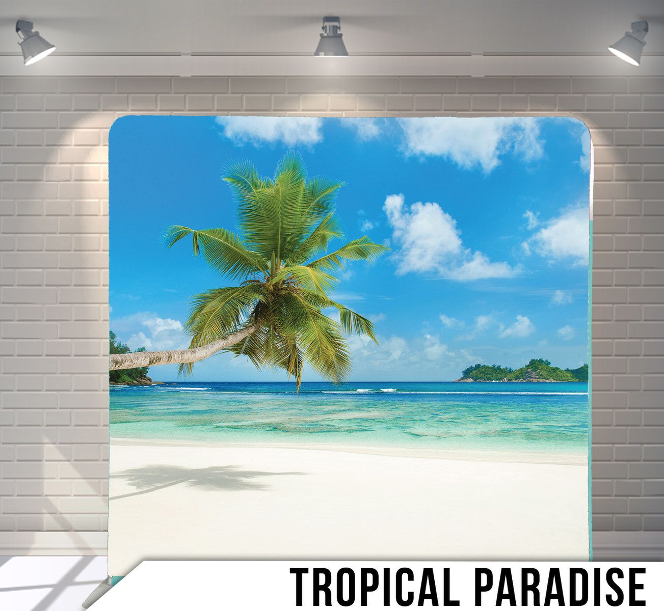 Palm tree leaning over crystal clear turquoise water on a pristine white sand beach.