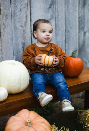 Small child sits with assorted pumpkins against grey wooden backdrop.