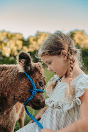 Jessica Smith Photography Family Portraits