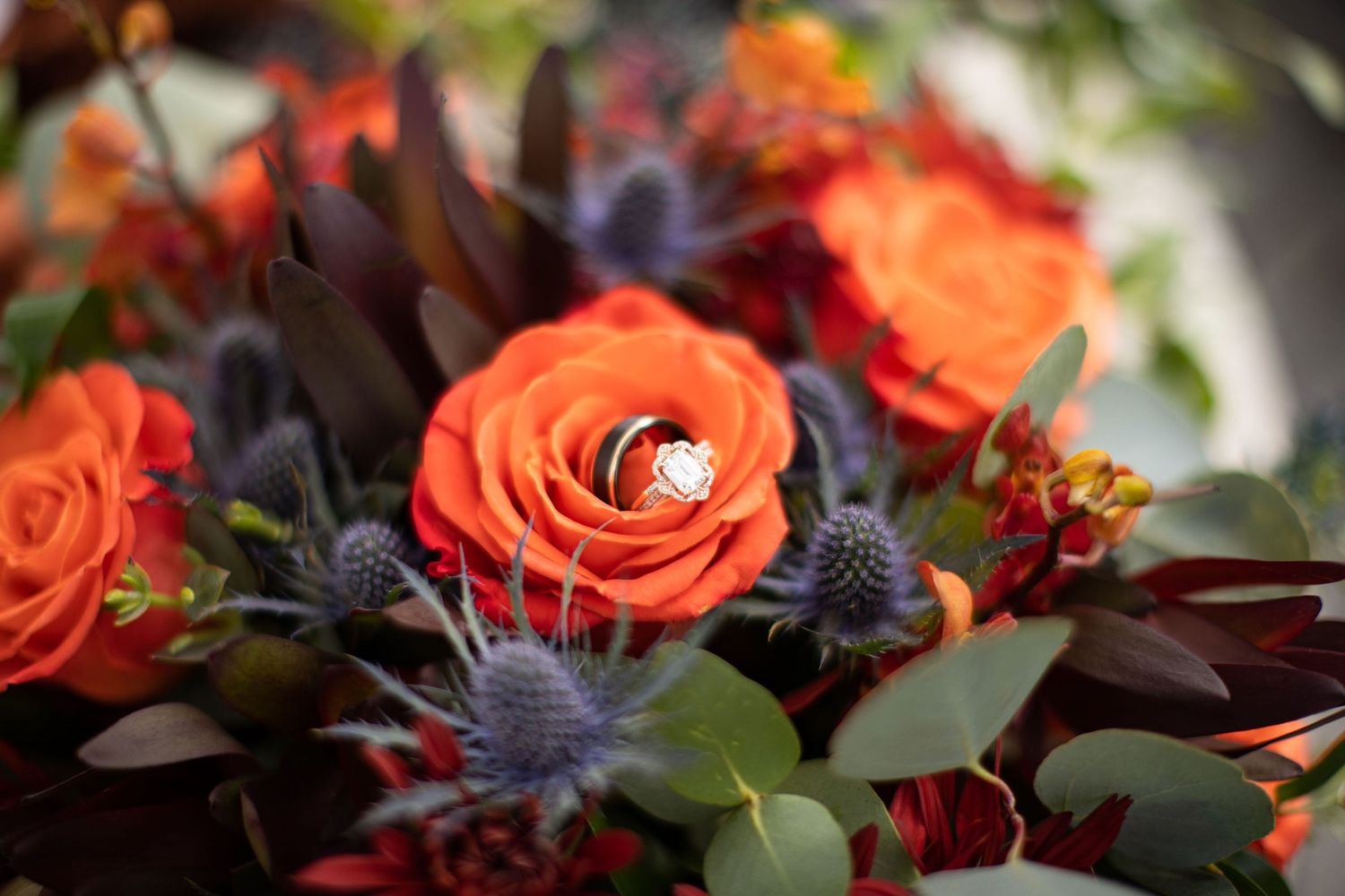 Wedding Rings