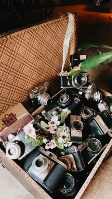 Vintage cameras and flowers arranged artistically in an old suitcase.