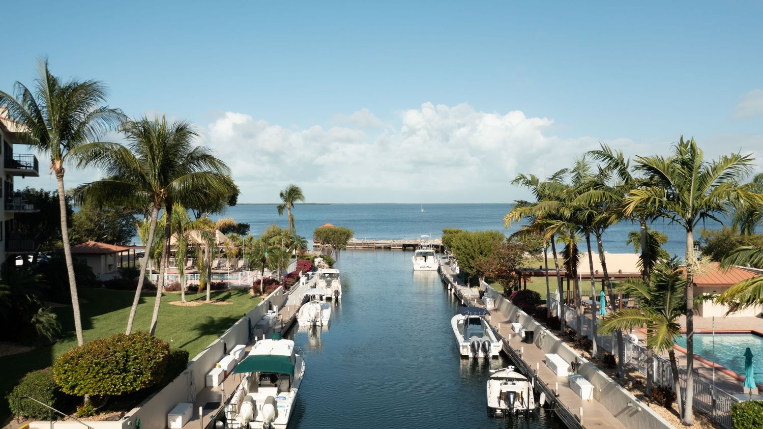 Panoramic view of a marina with palm trees and boats docked along the waterfront.