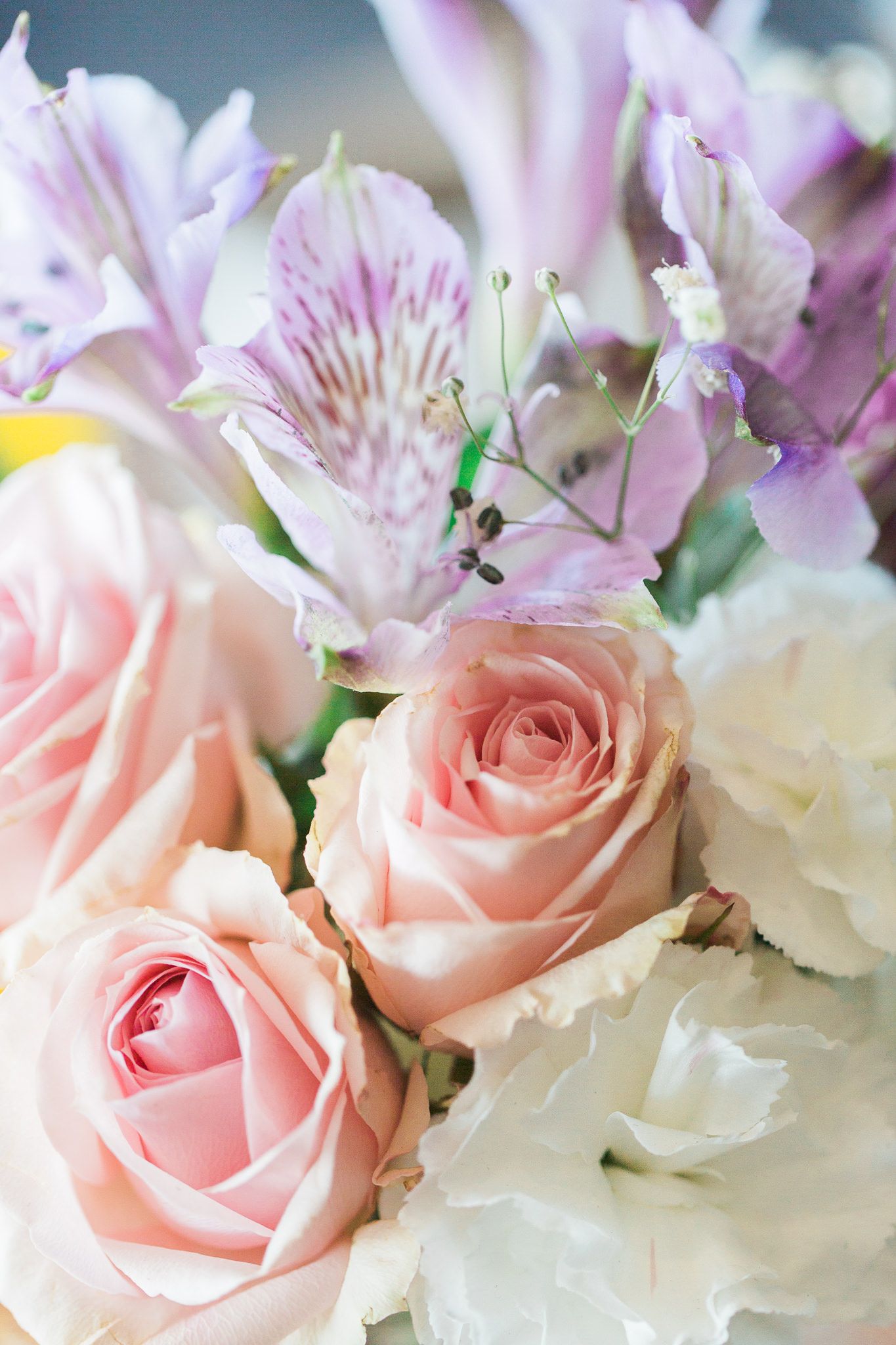 floral photo, light and airy detail photos, omaha photographer, loveland studios owner, natural editing