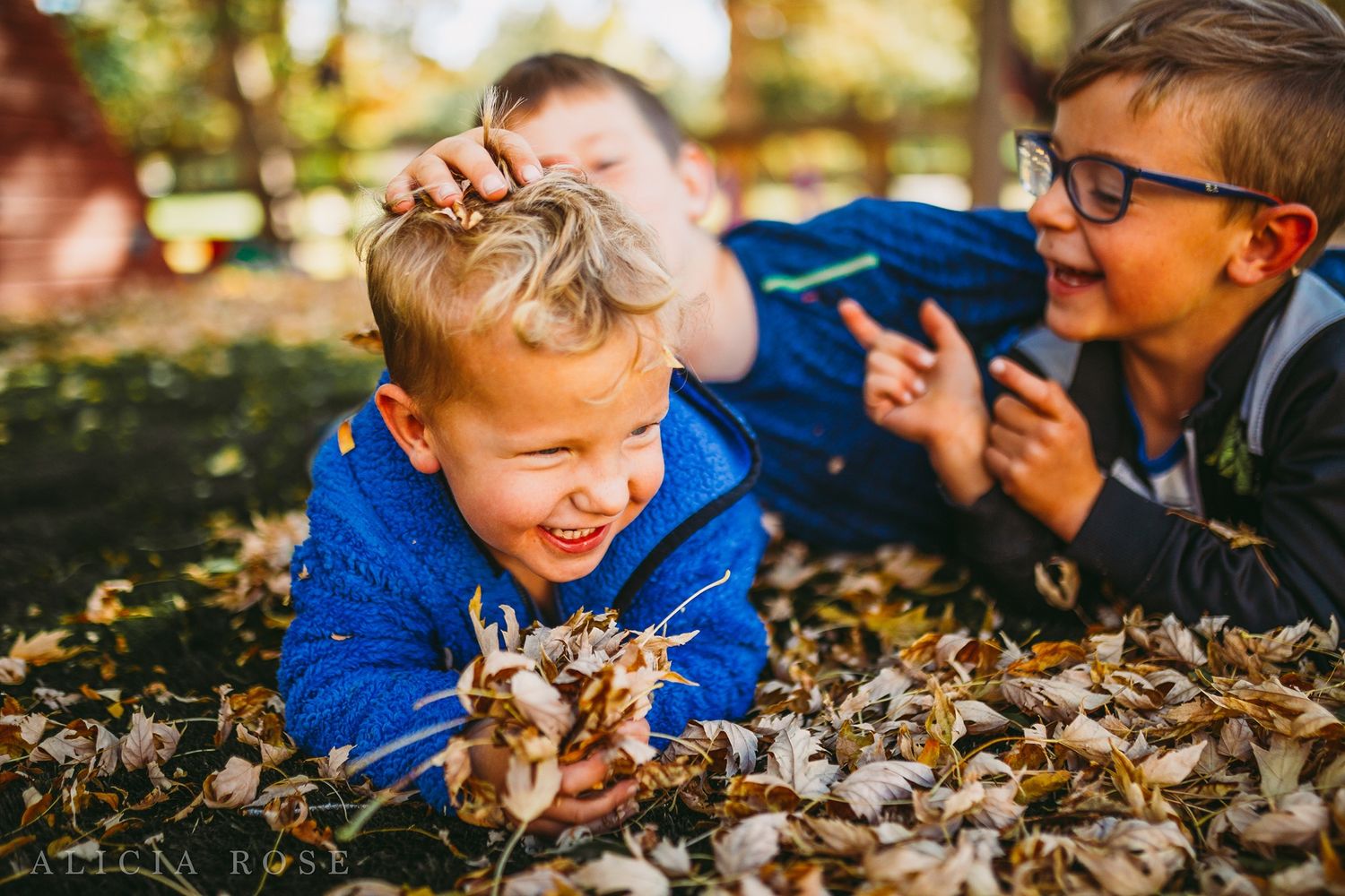 People playing in fallen autumn leaves on a sunny day in the park.