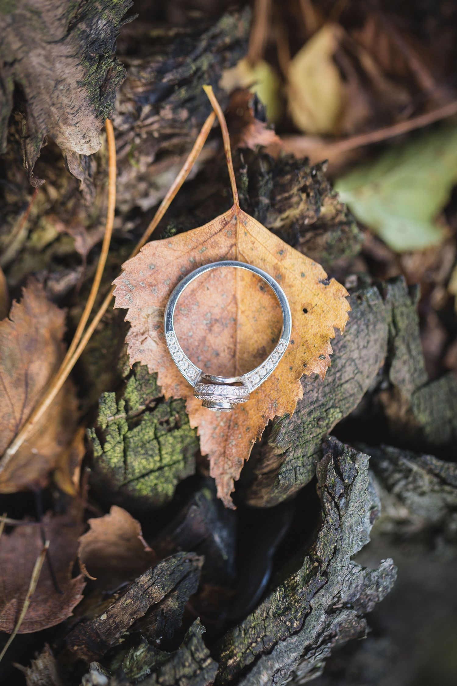 Details, Wedding details, Wedding rings, Wedding Photographer, Vassell Weddings, Engagment Ring, Engagement Shoot, UK