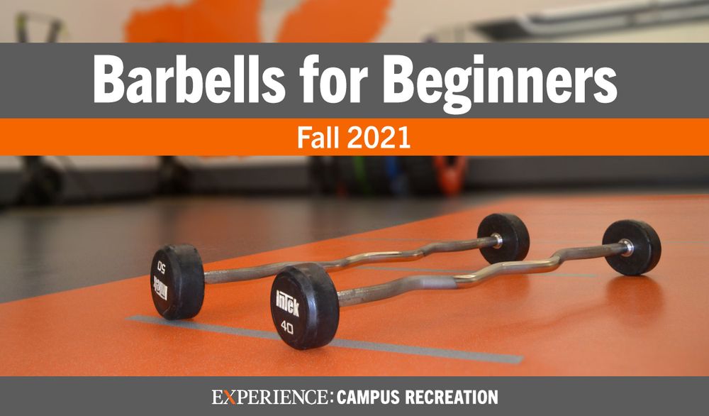 Promotional image for Barbells for Beginners class showing dumbbells on orange background.