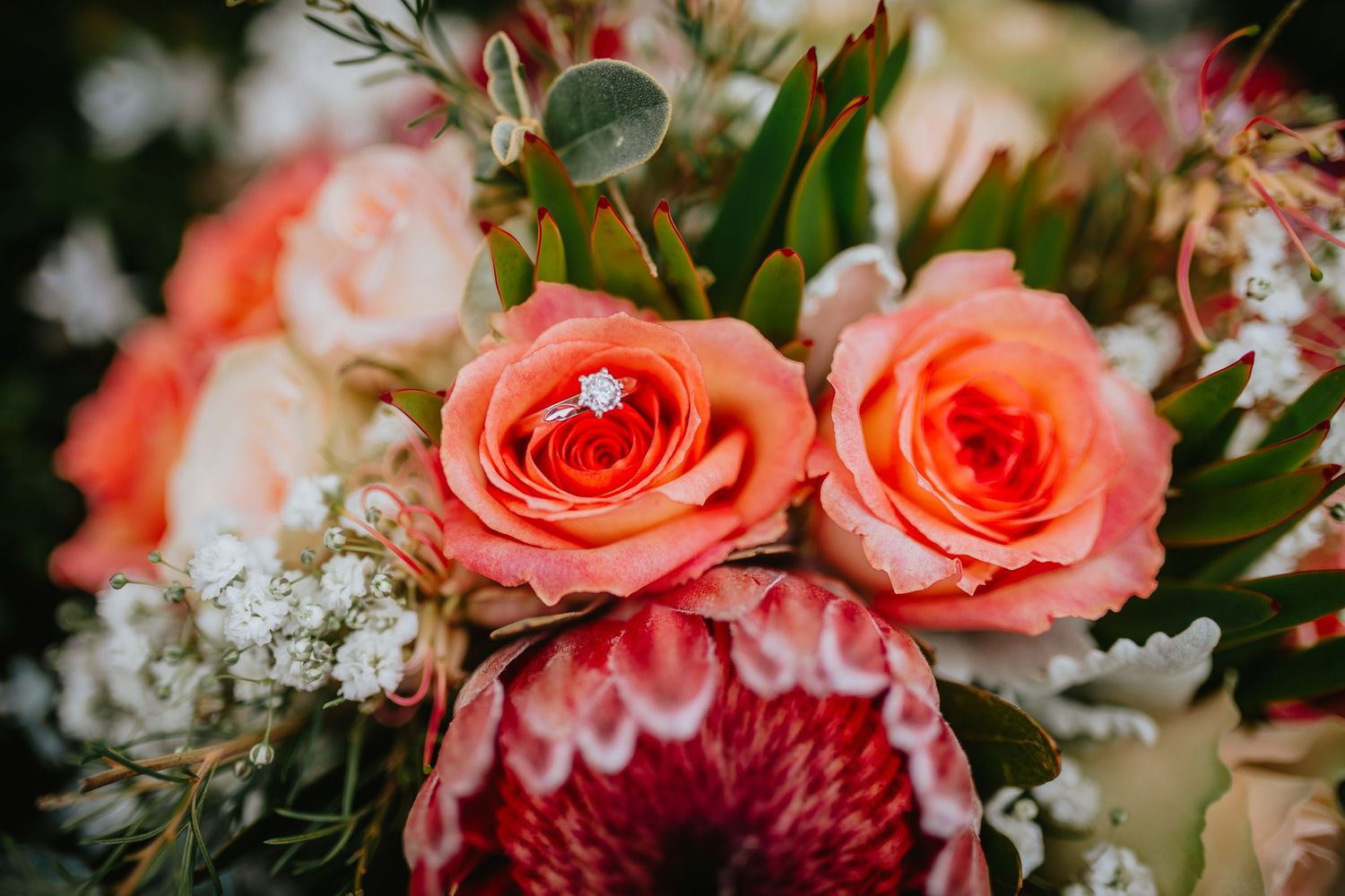 Wedding Photographer Melbourne Australia bride groom couple in love dress wedding reception celebrant