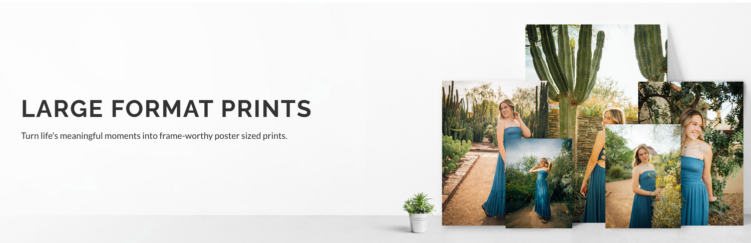 Phoenix Professional Team & Individual Portraits & Banner Sessions PEORIA, GLENDALE AZ PHOTOGRAPHER Anjeanette Photography