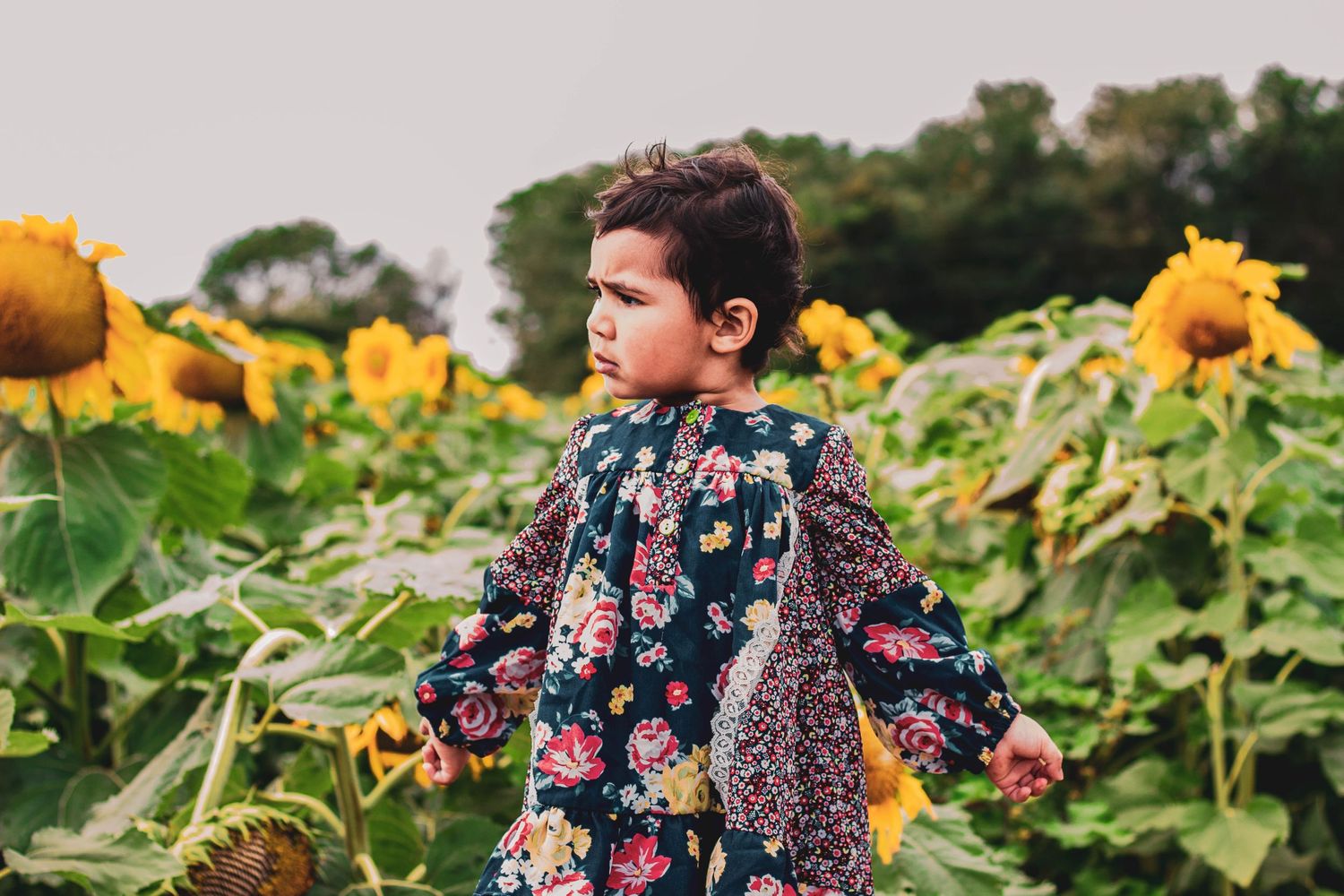 photo ideas of a child in a sun flower field
