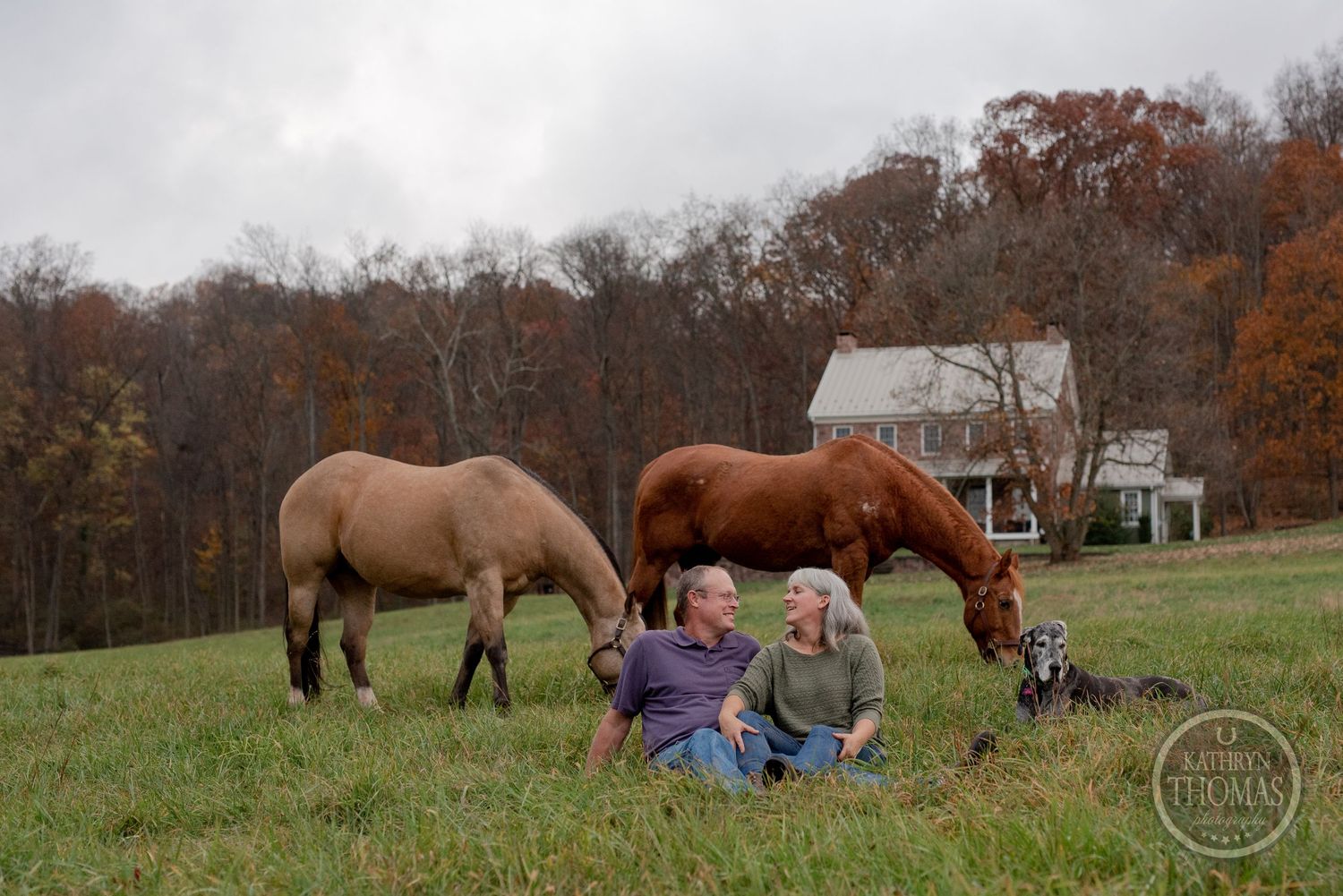 Two horses graze near people sitting in field with white farmhouse and autumn trees.