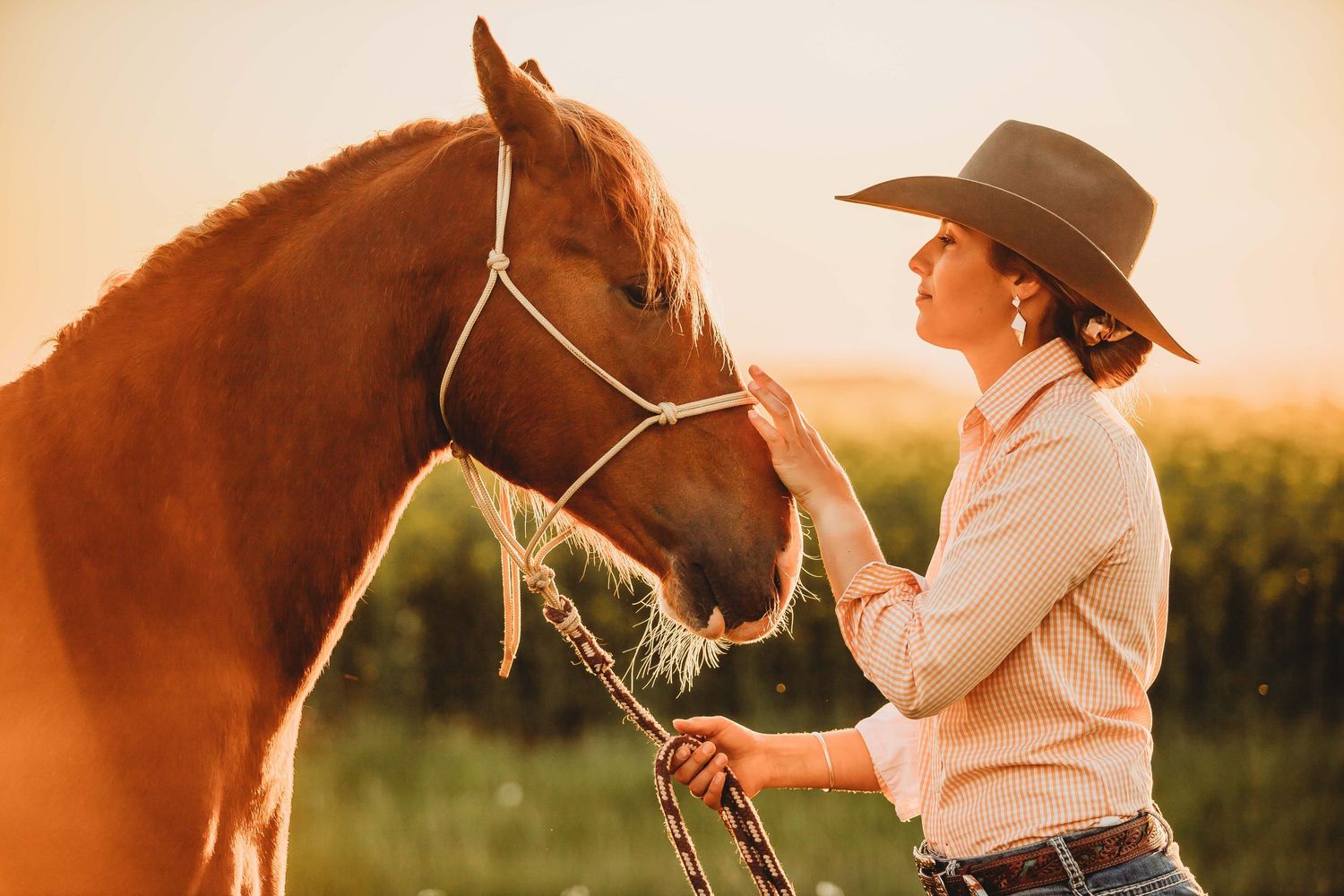 Equestrian in western attire gently holds reins of brown horse during golden sunset in countryside.